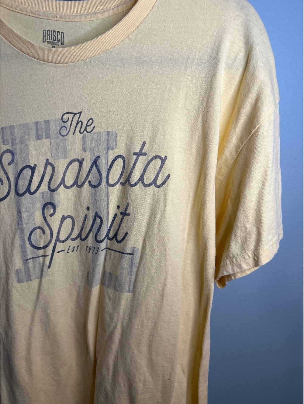 Brisco Cotton T-Shirt XL